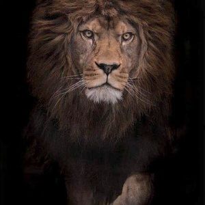 Meet your Posher, TheSue1234